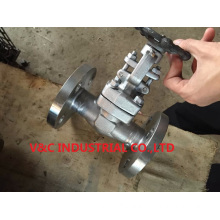 Anticorrosive Flange Stainless Steel Gate Valve